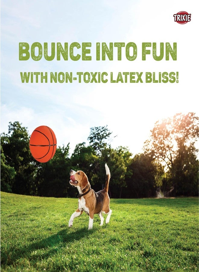 Trixie: - Ball Toy for Dogs | Made with Durable and Non-Toxic Latex Material, Great for Playing Fetch and Retrieve | Comes with a Squeaker for Added Fun | Assorted - 13 cm - Image 2